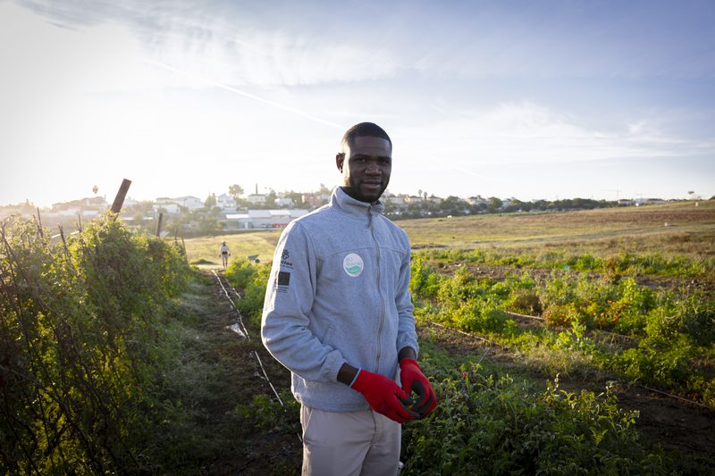 Trabajador en empresa de inserción agrícola